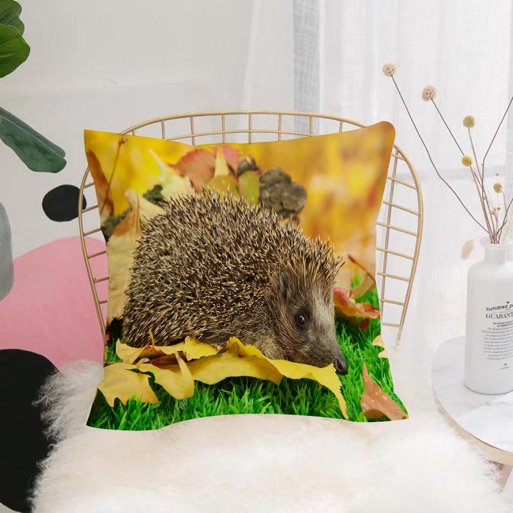 HYOSXW Cushion Cover,Throw Pillow Case Home Decorative for Living Room Bedroom Sofa Chair 16X16 Inch,Hedgehog, cute little hedgehog on autumn leaves in forest scenes from world dec,Pillowcase 40X40cm