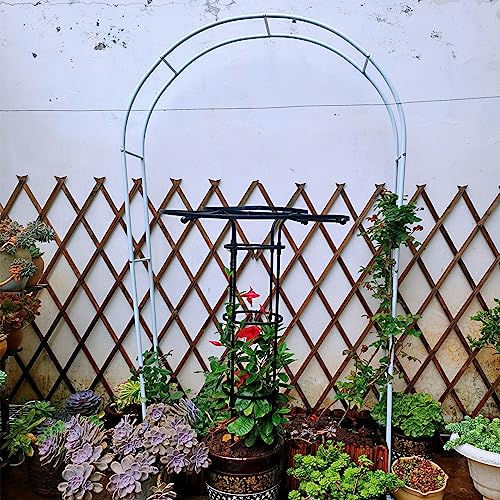 Élevez votre jardin avec un treillis en métal blanc parfait pour les légumes, les courges et les décorations de fête de mariage, idéal pour le jardin, la terrasse ou la serre. Dimensions : 280 x 220 x
