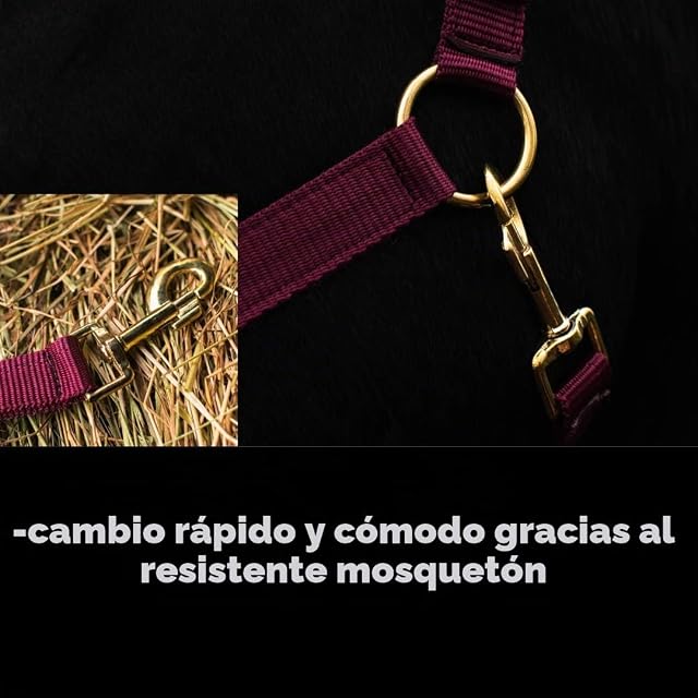 Foto 2 de 4 de Cabestro para caballo de sangre caliente, pura sangre, sangre fría