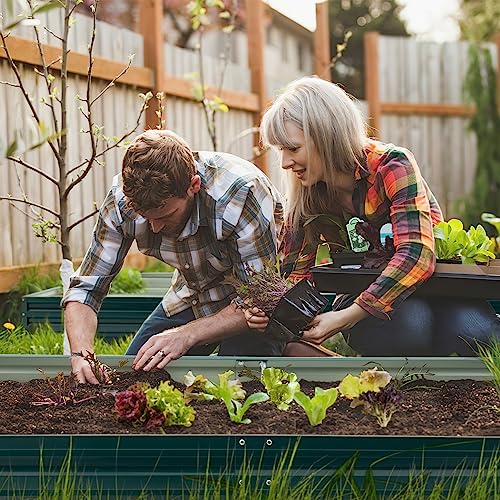 Devoko 6 X 3 X 1 Ft Raised Garden Beds Outdoor Galvanized Planter Box Metal Raised Beds For Flower, Vegetables, Herb #TOP1