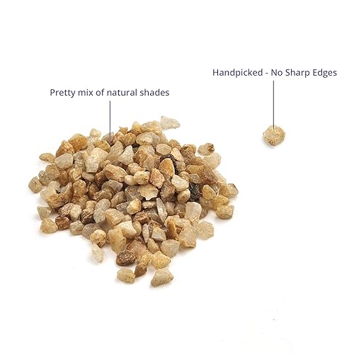 Miniatura 4 de Royal Imports Piedras ornamentales decorativas de 5 libras, piedras de paisajismo de jardín, relleno de grava para plantas, jarrones, suculentas,