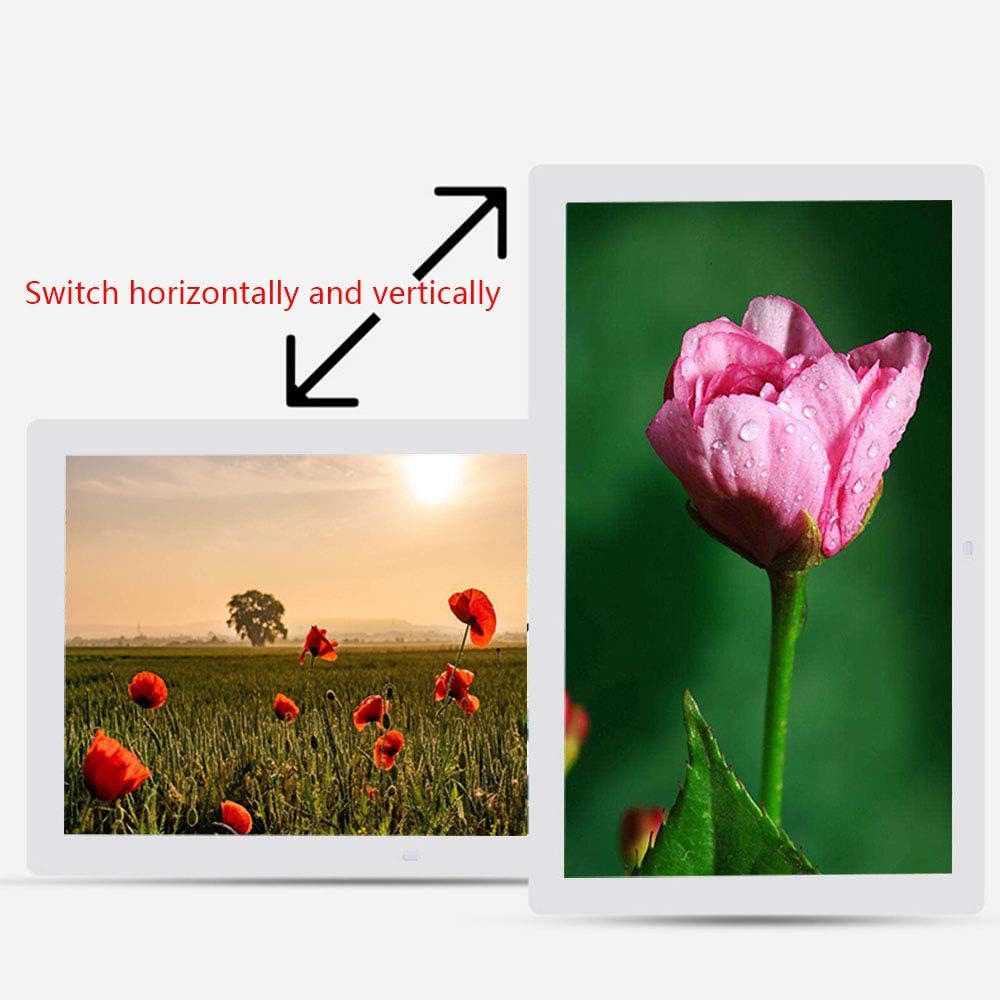 中国　古玩　青磁花瓶　【桐箱付】36cm18cm 中国青磁花瓶 中国 古玩 青磁花瓶 【桐箱付】36cm18cm 中国花瓶