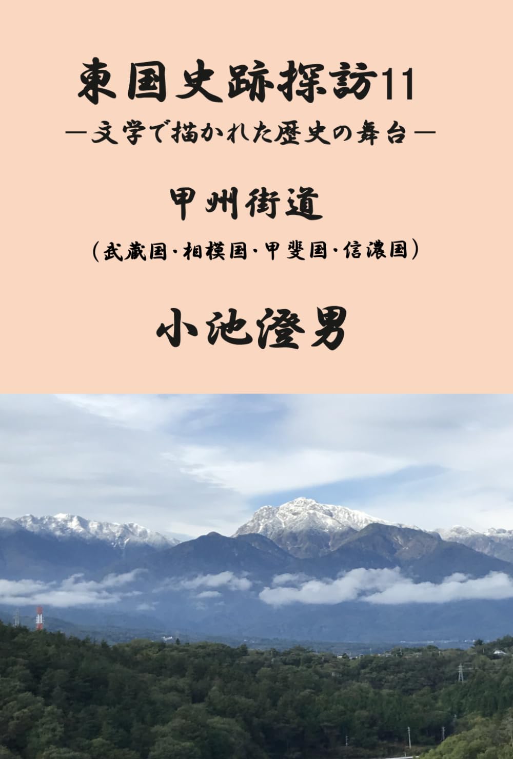 東国史跡探訪11: 文学で描かれた歴史的事件の舞台 (東国史跡探訪)
