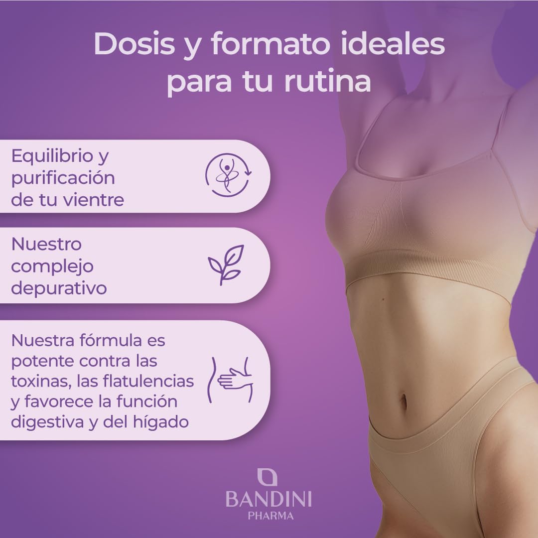 Bandini® Cardo Mariano 366 Comprimidos, Suplemento a base de Silimarina del Extracto Natural de Cardo Mariano, Ayuda a la Función Hepática, Silybum Marianum 300mg, Milk Thistle 1200 mg/día (+6 Meses)
