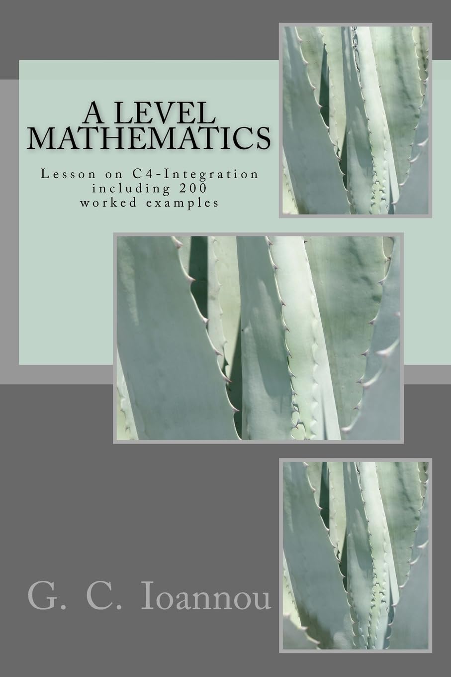 A Level Mathematics: Lesson on C4-Integration