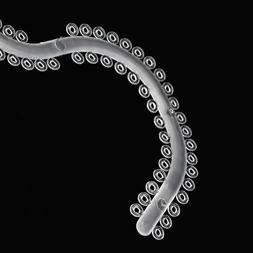 Miniatura 4 de El lazo separado ortodóntico dental moldeó el tipo S de los lazos del separador 700 anillos10 palillos materiales dentales (transparente)