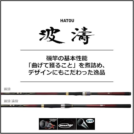 90 以上節約 ダイワ ２１ 波濤 ２ ５０ ｎ 大型商品１ 24 6円 Sarozambia Com