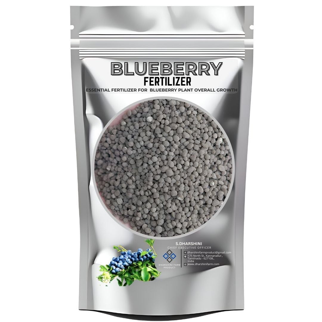 BLUEBERRY PLANT FERTILIZER | Enhance Fast Growth, Root Development & Increase Fruiting Production (250 GRAM)-image-14