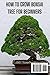 How To Grow Bonsai Tree For Beginners: A Step-by-Step Guide to Growing, Shaping, and Caring for a Living Work of Art (The Grower’s Handbook Series)