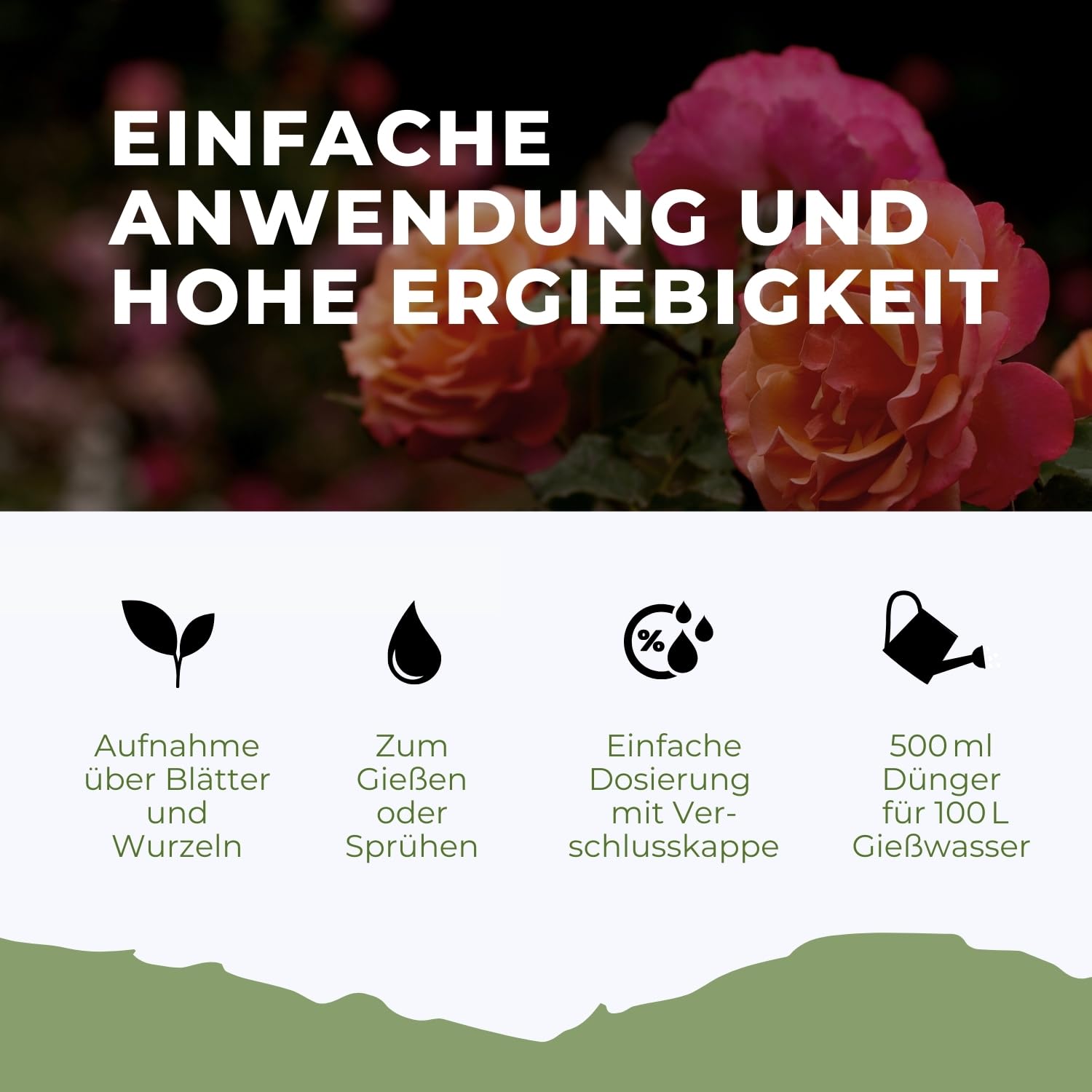Konfitee Rosen Dünger Flora Boost 500ml I Für bis zu 100L Gießwasser I Langzeitdünger für alle Arten von Rosen geeignet I Flüssiger Blatt- & Wurzeldünger I 100% natürlicher Pflanzendünger