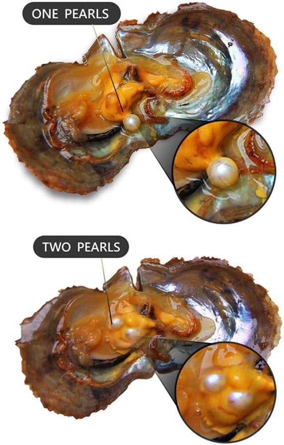 10PCS Akoya Pearl Oysters to Open, Saltwater Cultured Pearl Oyster for Party(6-8mm, 1Pc Twins, 9Pcs Single)