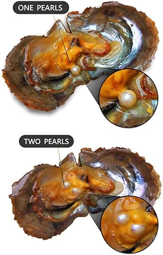 Miniatura 3 de LGSY 10 ostras cultivadas Akoya de agua salada de 0.236 a 0.315 pulgadas con perlas en el interior a granel para la fabricación de joyas de perlas