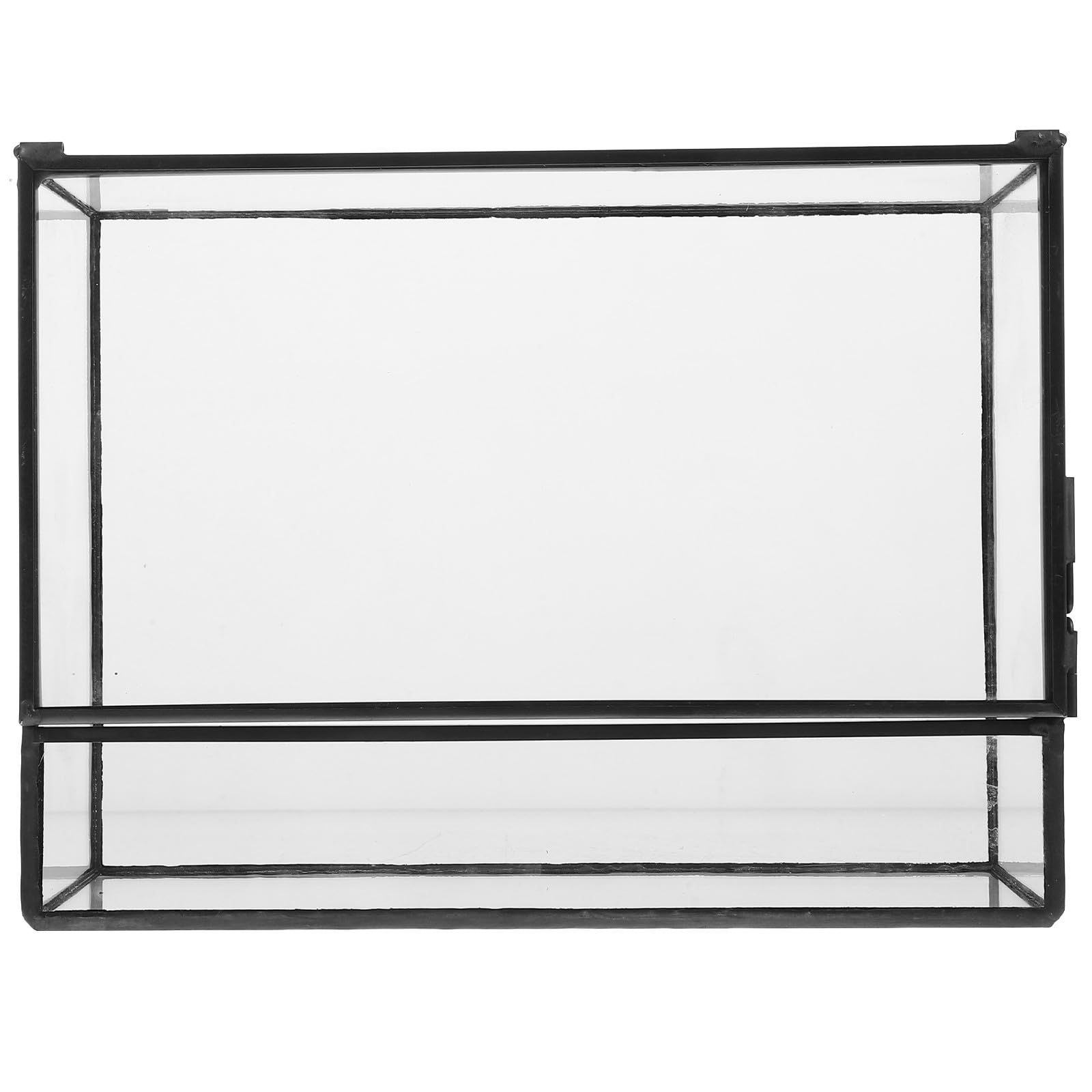 Luxshiny Terrarium in Vetro Contenitore per Micro Paesaggi, Terrario Piante e Moss Ecological Holder, per Piante e Muschio, Soggiorno e Tavolino da Tè, Superficie Liscia, Facile da Pulire