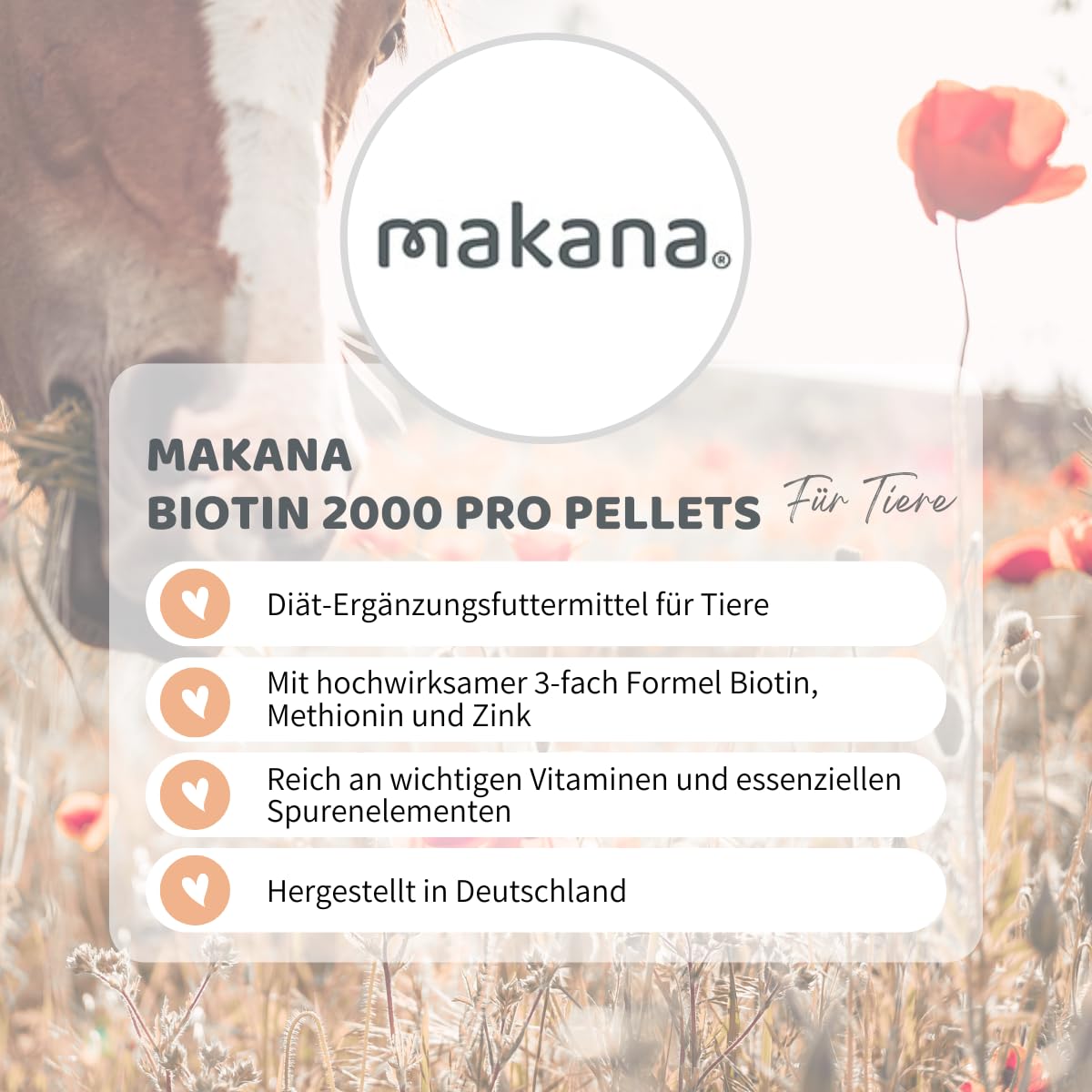 Makana Biotin 2000 pro für stabile Hufe, pelletiert, 2er Pack (2 x 1.5 kg)