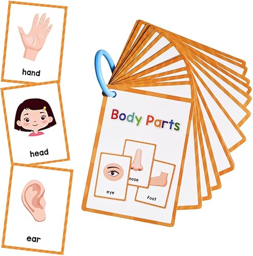 Miniatura 8 de Tarjetas didácticas de aprendizaje de partes del cuerpo, palabras de alta frecuencia, lectura inicial, jardín de infantes a 1er grado, materiales de