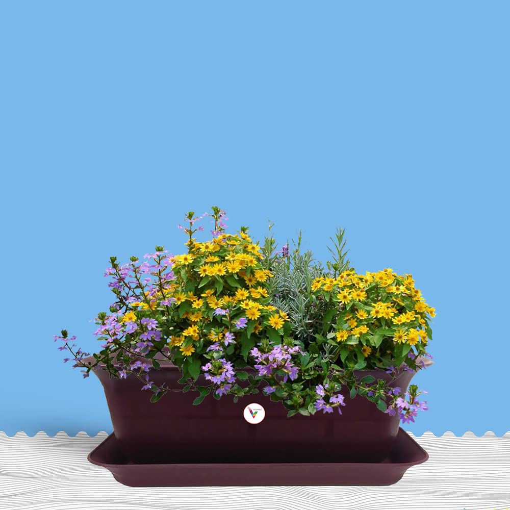 See full amazon price history chart for VINSHRA Plastic Flower Pot, Purple, 20 Inch, 4 Pieces VINSHRA Plastic Flower Pot, Purple, 20 Inch, 4 Pieces (B08PD55S4K) Amazon Price History, Amazon Price Tracker