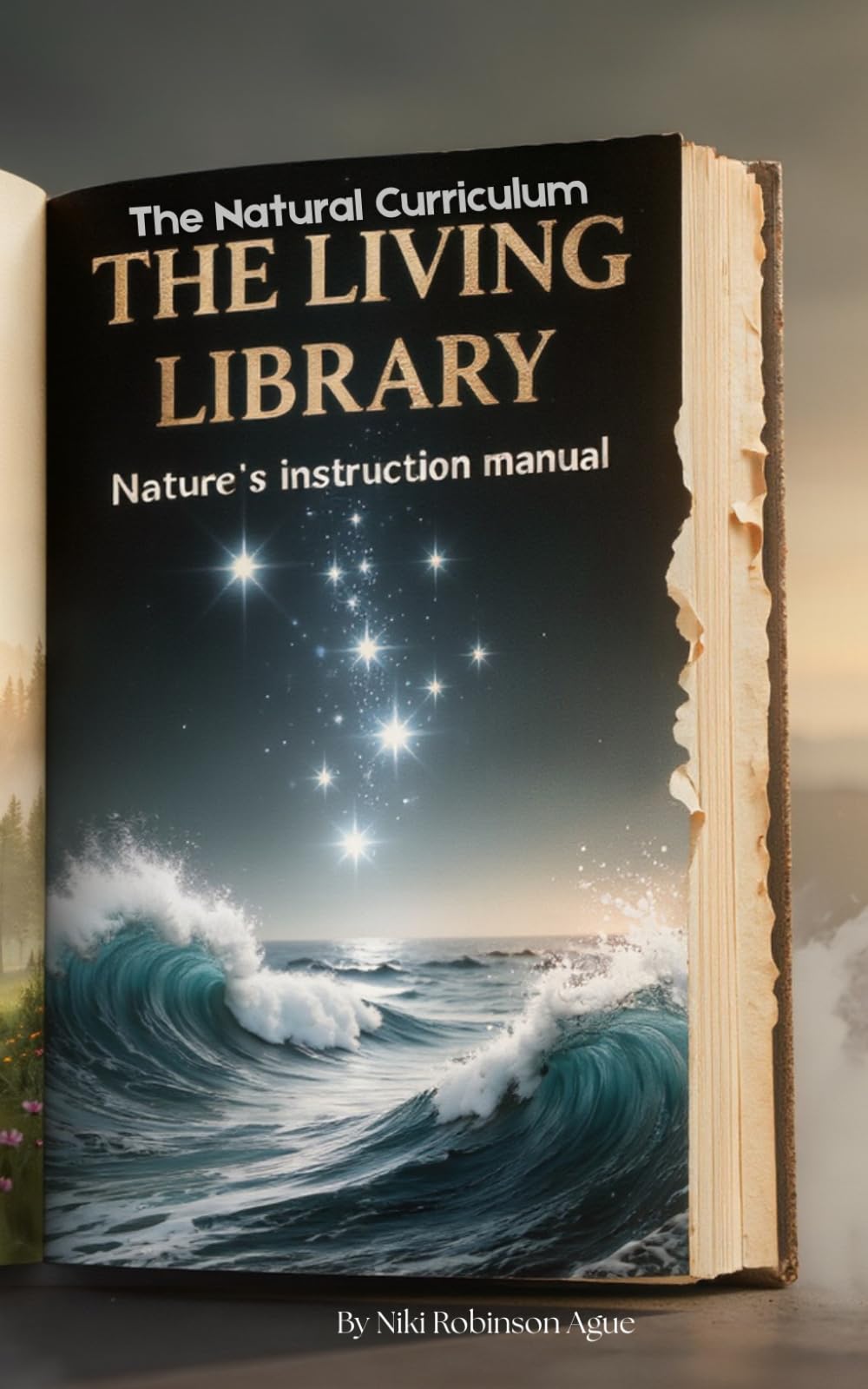 The Natural Curriculum: Lessons from Nature