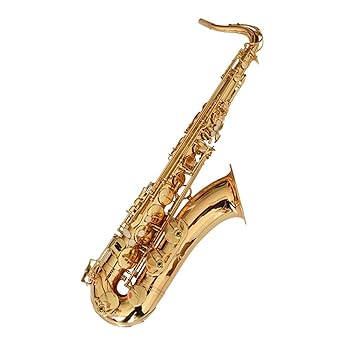 Savarey サバレイ テナーサックス 管楽器 管楽器