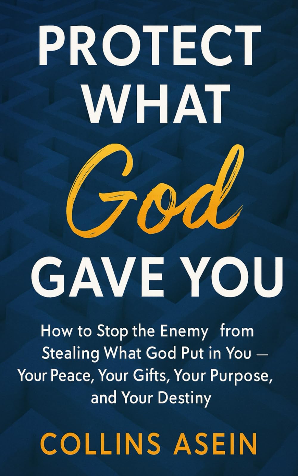 Protect What God Gave You: How to Stop the Enemy from Stealing What God Put in You—Your Peace, Your Gifts, Your Purpose, and Your Destiny