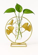 Glass Planter Hydroponics Vase with Metal Stand Test Tube Vase for Plants Small Bud Vase for Flower Terrarium Indoor Décor Desktop Home Office Wedding Garden