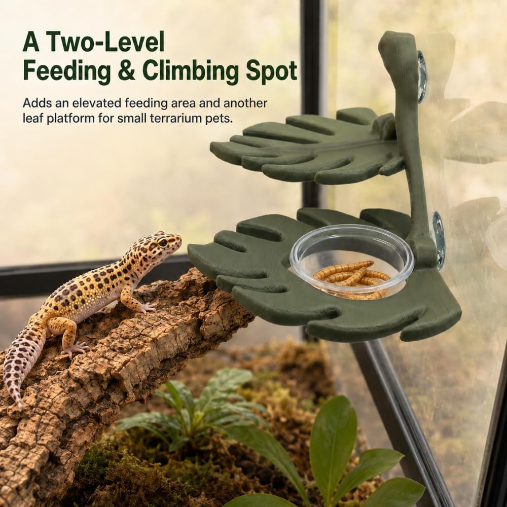 Crested Gecko Feeding Ledge, Reversible Leaf-Shaped Food Dish with 5 Cups | Two-level leaf-shaped feeding ledge, reversible upper or lower cup setup, 3 suction cups and 5 clear feeding cups