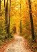 Produktbild YongFoto 1,5x2,2m Foto Hintergrund Herbst Landschaft Straße Rot Gelb Herbstlaub Park Baum Natur Fotografie Hintergrund Fotoshooting Portraitfotos Hochzeit Party Fotografen Kinder Fotostudio Requisiten