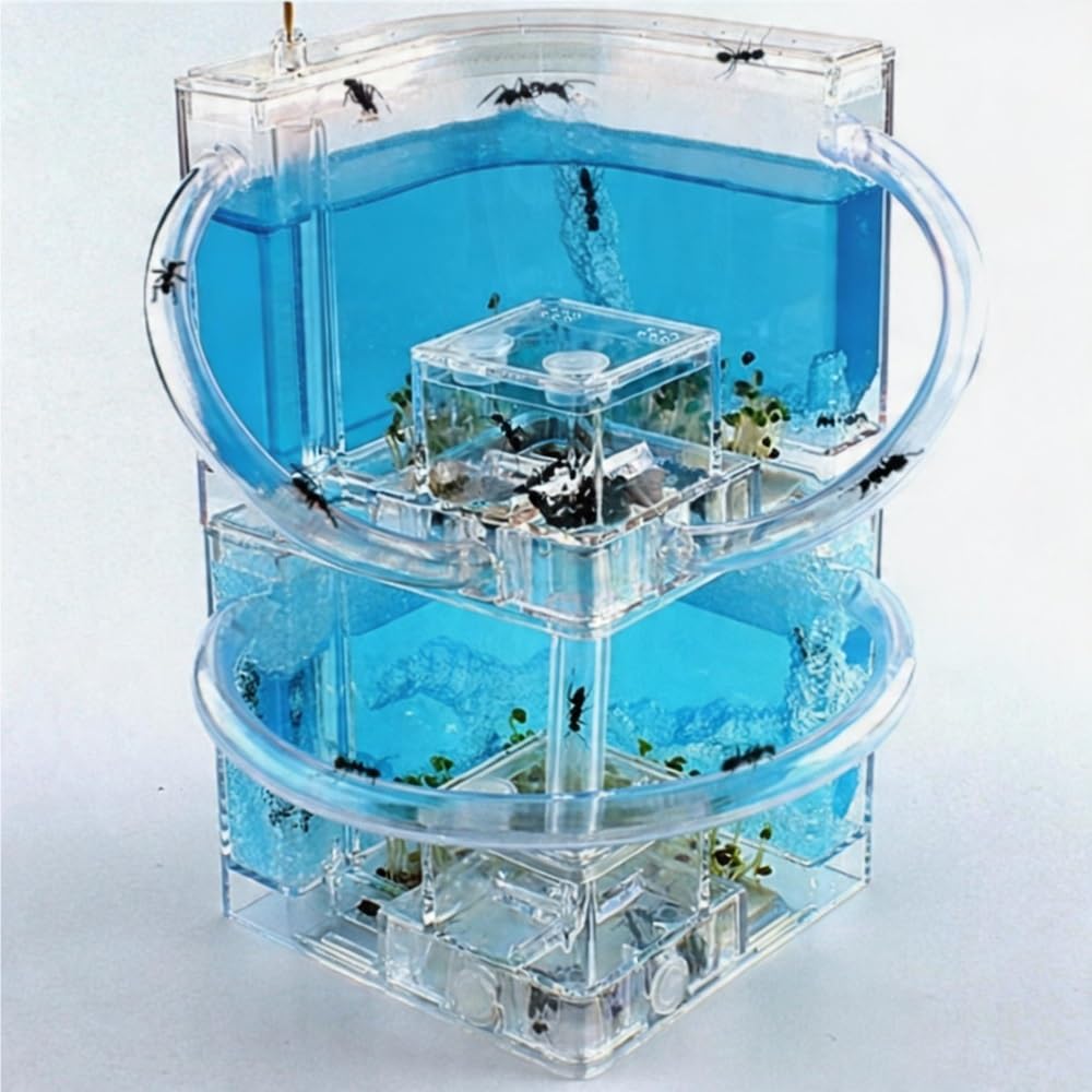 Doppelschichtiges Ameisenfarm-Formicarium aus Acryl, stapelbarer Ameisennest-Lebensraum, erweiterbare Zuchtbox mit 360°-Ansicht for Haltung und Beobachtung(Green)