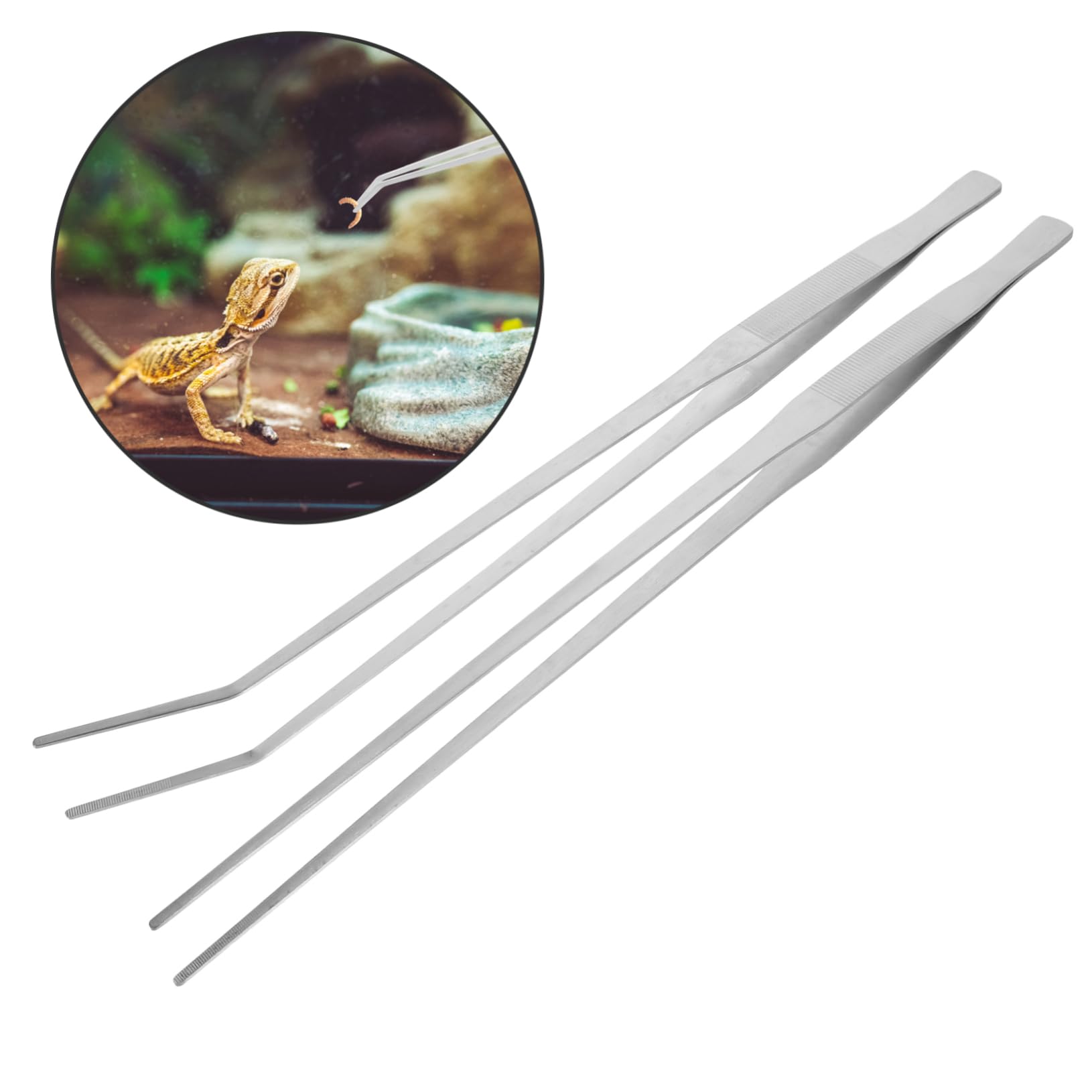 Didiseaon 2piezas Pinzas Para Reptiles y Peces Extralargas Unidades Mango Accesorio De Alimentación