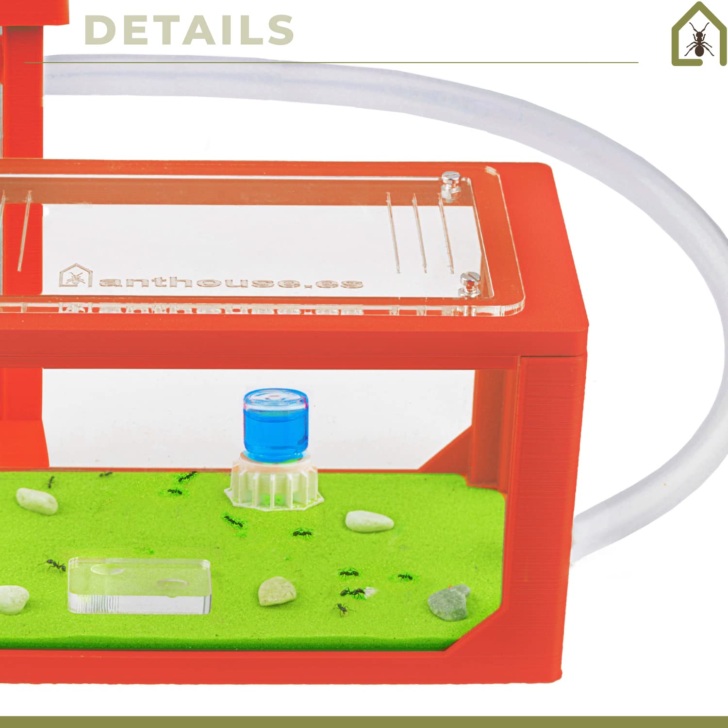AntHouse Natürliche Ameisenfarm aus Sand 3D Basic Set Rot Inklusive Ameisen
