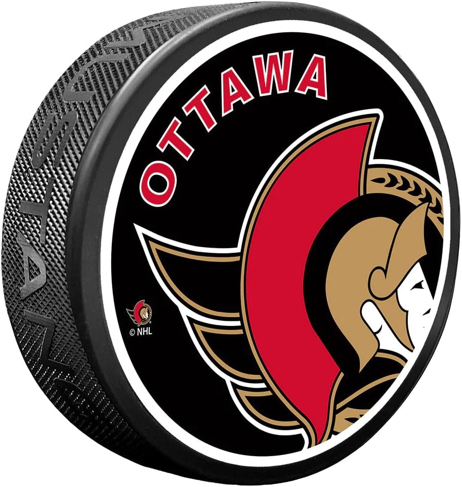 Sports Decor Icon Puck