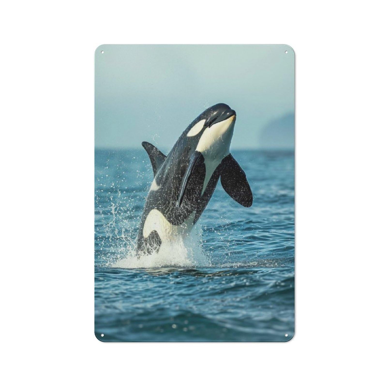 Junmoney Sea Orca Whale Killer 30X20cm Rustic Metal Sign With For Guest Room Or Hallway, For Vintage Wall Decor Fans, For Metal Sign Collectors