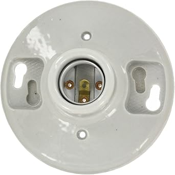Leviton One-Piece Glazed Porcelain Outlet Box Mount, Aluminum, 49875, White
