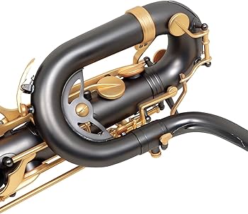 61USi5ui-mL._AC_UF350,