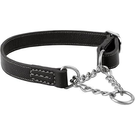 leather half check collar