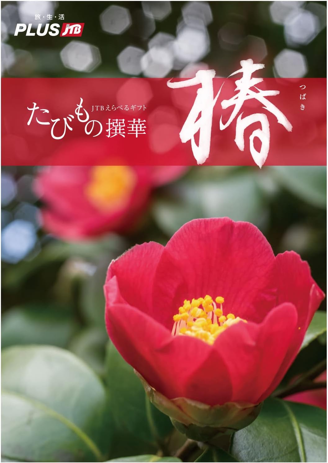 Jtb カタログギフト たびもの撰華 Lt 椿 つばき Gt 旅 体験 円コース 適切な価格