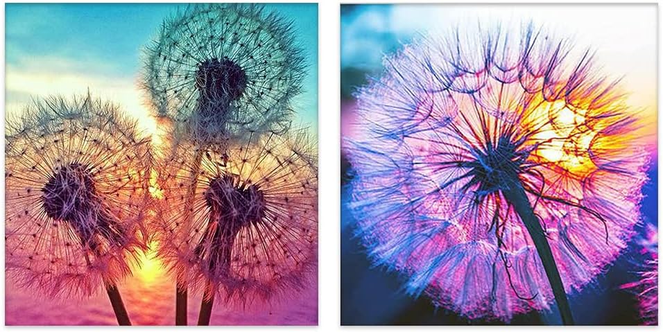 Kits de Pintura de Diamantes