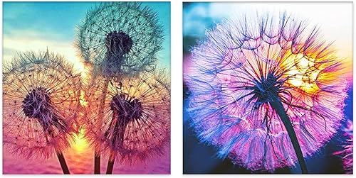Kits de pintura de diamantes de diente de león de 2 piezas para adultos, taladro completo redondo 5D, kits de arte de diamantes para decoración de