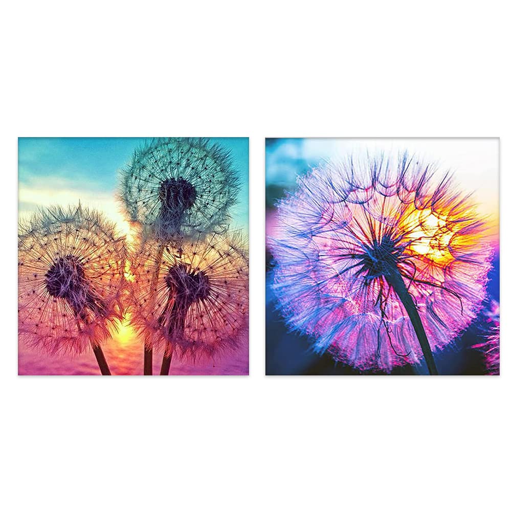 2-Piece Dandelions Diamond Painting Kits for Adults, Round Full Drill 5D DIY Diamond Art Kits for Home Wall Decor 12"x12"