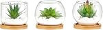 Mkono Artificial Succulent in Clear Glass Pot, Set of 3 Mini Potted Fake Plants for Women Office Decor Small Faux Green Plant with BambooTray for Bookshelf Bathroom Kitchen Decor Tabletop Centerpiece