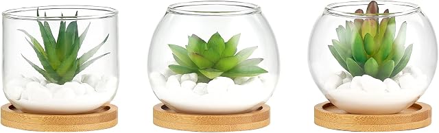 Mkono Artificial Succulent in Clear Glass Pot, Set of 3 Mini Potted Fake Plants for Women Office Decor Small Faux Green Plant with BambooTray for Bookshelf Bathroom Kitchen Decor Tabletop Centerpiece