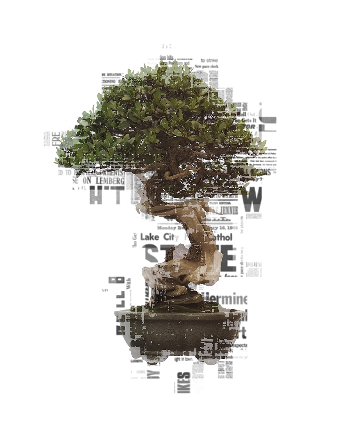 lego bonsai beleuchtung anleitung Briksmax 2.0 LED-Beleuchtungsset fr LEGO Japanischer Rot-Ahorn-Bonsai-Baum  #10348