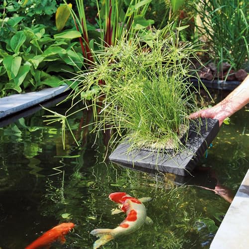 Velda Galleggiante Pianta Isola - Quadrato 35Cm - 4