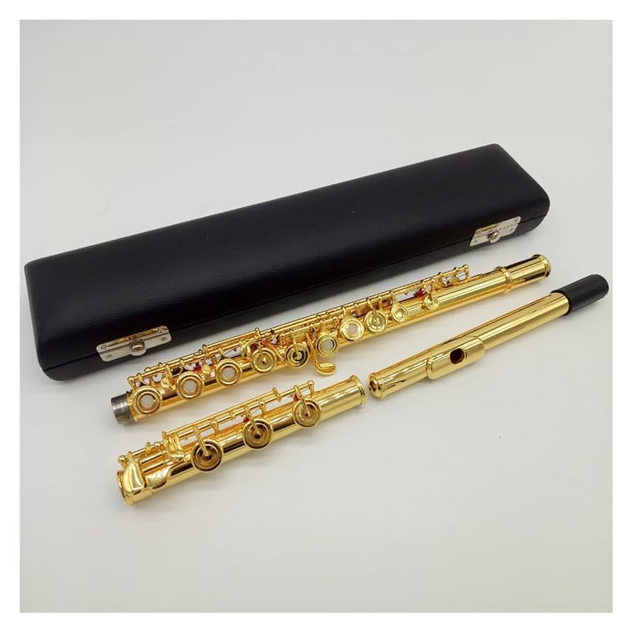 フルート　フルメッキ　美品 AZUMI あずみ AZ-Z1E フルート リッププレート 銀製 銀メッキ E