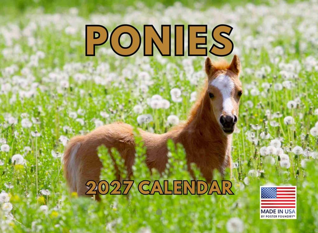 Baby-Horse-Pony Calendar 2025 Monthly Wall | American Made In The USA — image 1