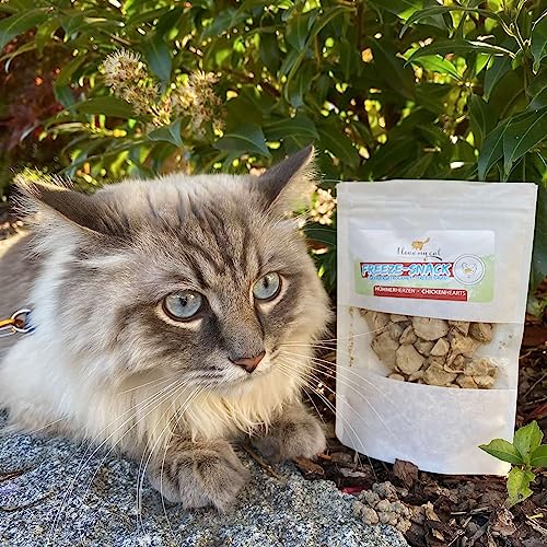 I Love My Cat Hochwertige Freeze-Snacks für Katzen mit Hühnerherzen (gefriergetrocknet), gut bekömmlich, kohlenhydratarm und ohne künstliche Zusatzstoffe - 25 g
