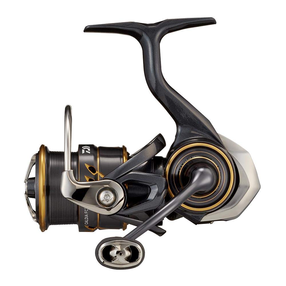 CＡLD IＡ　F C ＬＴ2000s-H Daiwa Caldia FC LT2000S-H 21 : Amazon.in: Sports, Fitness