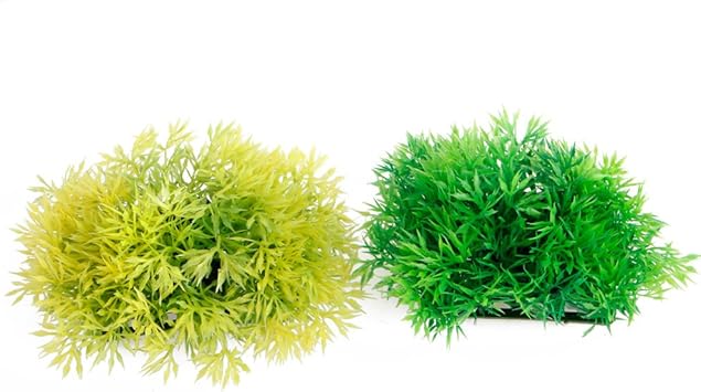 Sale 72 Off Simplelife人工水生緑草芝生水族館魚タンクの風景 Academy Torquedigital Com Br