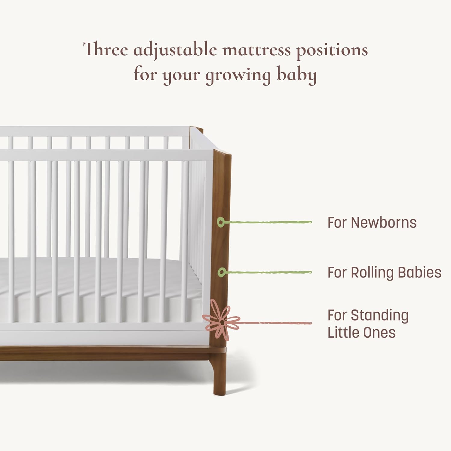 Little Seeds Laurel 4-in-1 Convertible Crib, Black/Chestnut