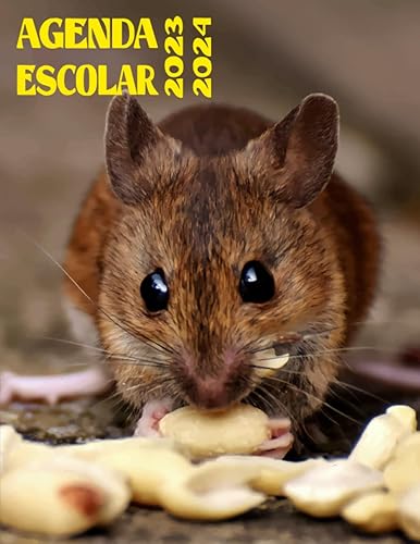 Agenda Escolar 20232024 Rata Calendarios, Universidades - y planificadores escolares, planificadores escolares con calendario, planificadores ...