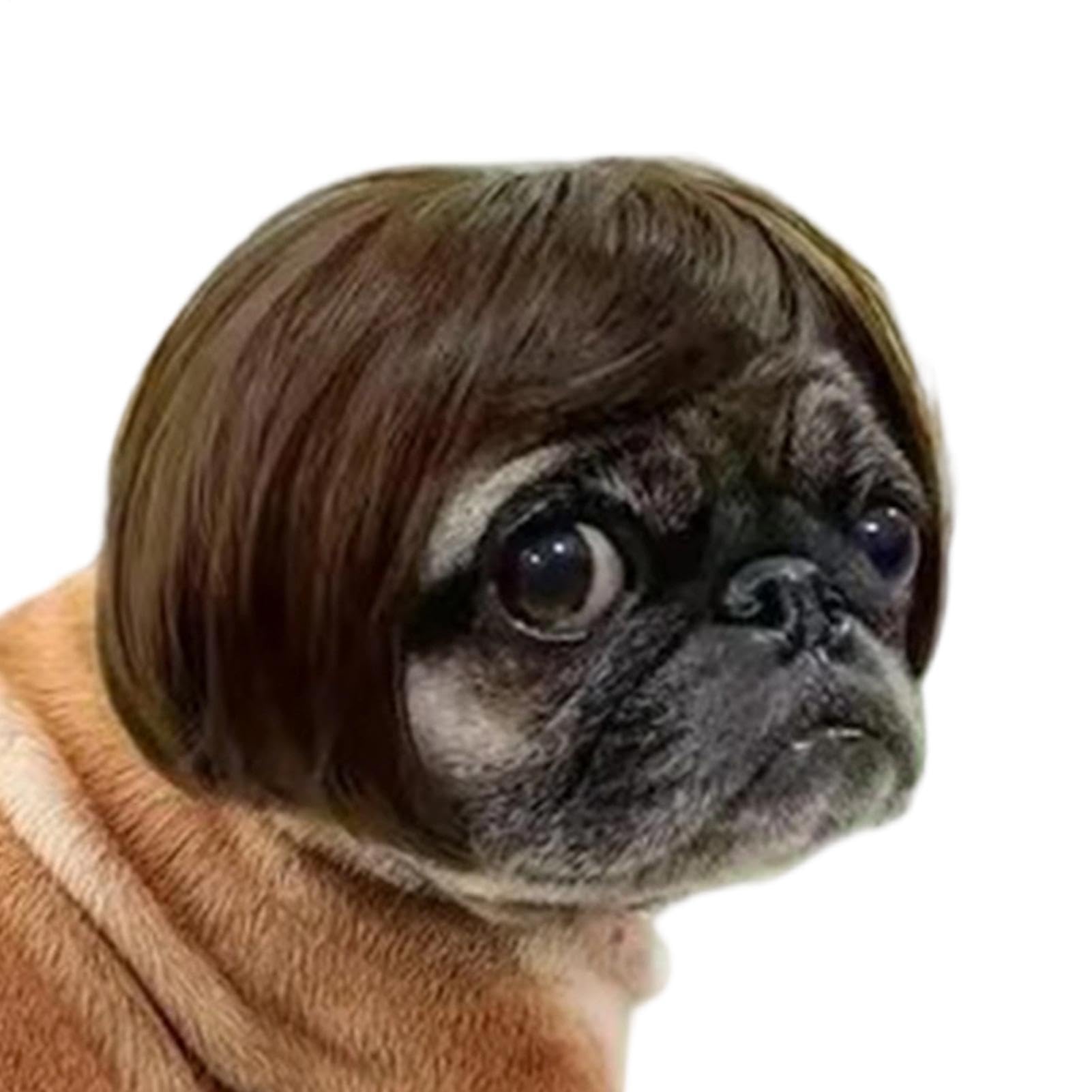 Dog Cat Bob Wig, Adjustable Funny Human Style Bangs for Party Photo Props
